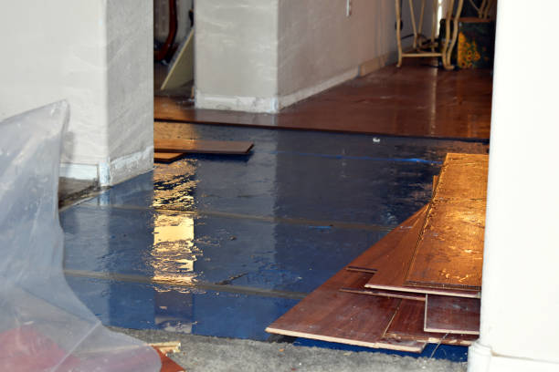 Professional Burst Pipe Cleanup technician working in Eugene, MO